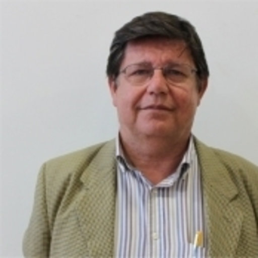 ENRIQUE RODRIGUES CASTELLON